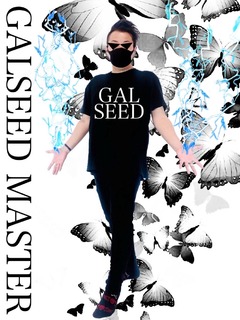 GALSEEDμ̿